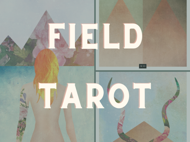 The Field Tarot Review